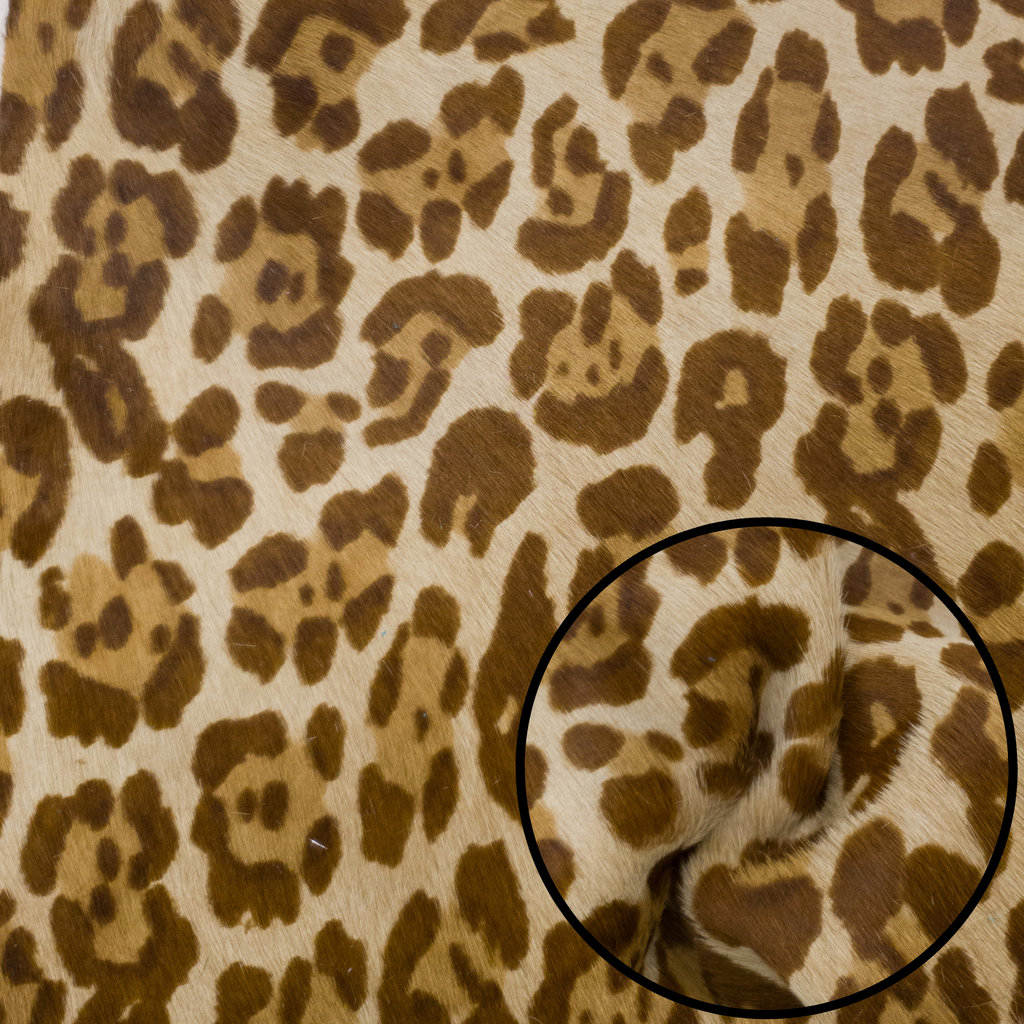 Brown Leopard